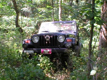 chadwick-03-11.jpg
