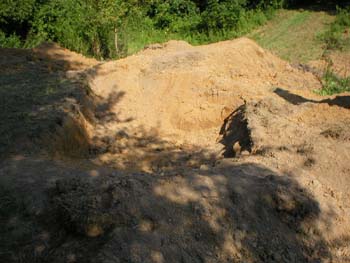 chadwick-03-4.jpg