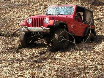 chadwick-04-116.jpg
