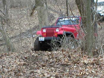 chadwick-04-86.jpg
