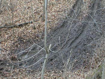 chadwick-04-96.jpg
